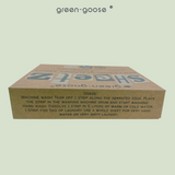 green-goose Wasstrips - 32 Strips - Ongeparfumeerd